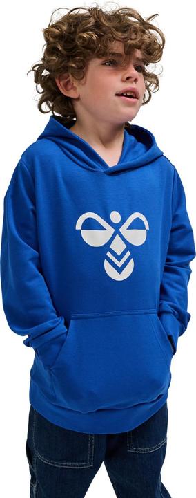Actual product image hummel hmlCUATRO HOODIE (128)