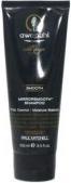 Immagine prodotto Paul Mitchell Awapuhi Wild Ginger Mirrorsmooth Shampoo (100 ml, Shampoo liquido)