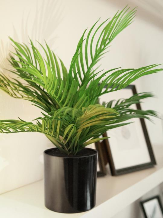 Image du produit Europalms Palmier à fruits d'or, plante artificielle, 46 cm (46 cm)