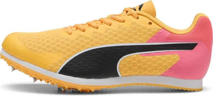 Actual product image Puma evoSPEED Star 9 Junior (39)