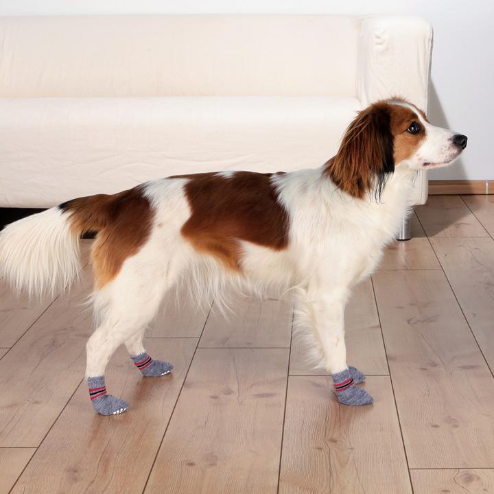 Actual product image Trixie Dog socks (M, L, Dog socks)