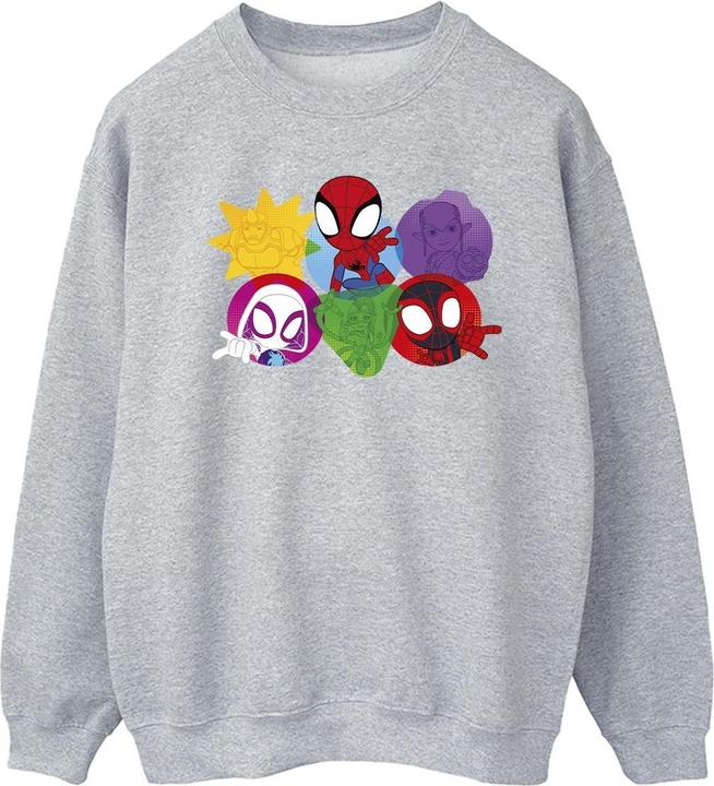 Spidey And His Amazing Friends Faces Sweatshirt (XL)