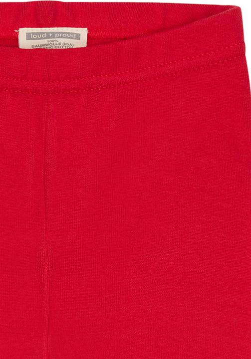 Actual product image loud + proud Legging (80)