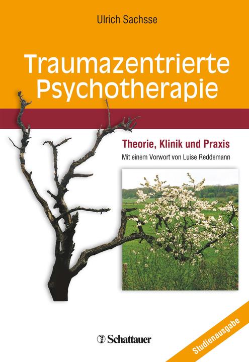 Actual product image Traumazentrierte Psychotherapie (German, Professor Ulrich Sachsse, 2018)