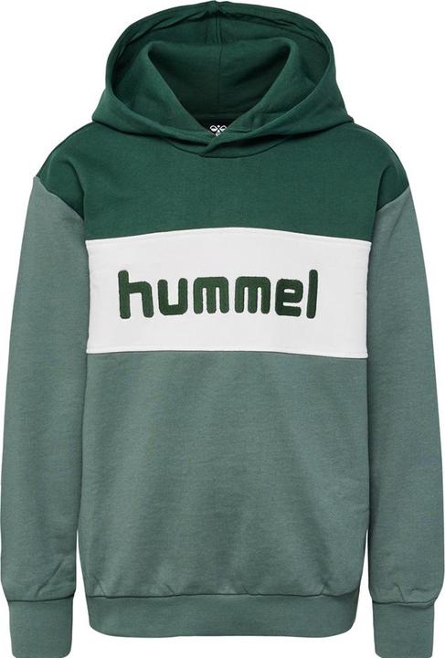 Actual product image hummel hmlMORTEN HOODIE (146)