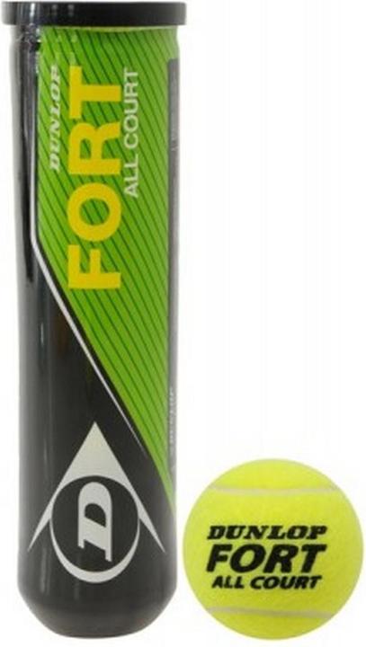 Image du produit Dunlop Fort All Court TS
