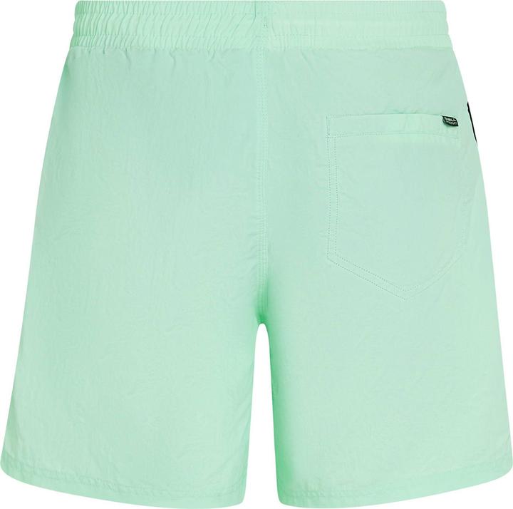 Image du produit O'Neill VERT 16" SWIMSHORTS (L)