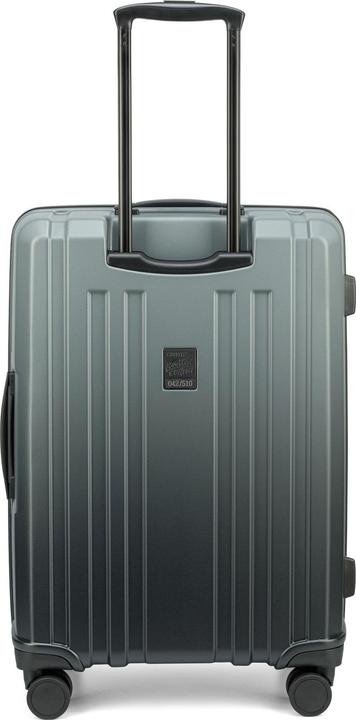 Immagine prodotto Epic Crate EX Wildlife 4 Rollen Kofferset 3-teilig (225 l, XL (da 115l))