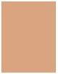 Actual product image Sensai Flawless Satin Most Fond de Teint FS202 (FS202 Ochre Beige)