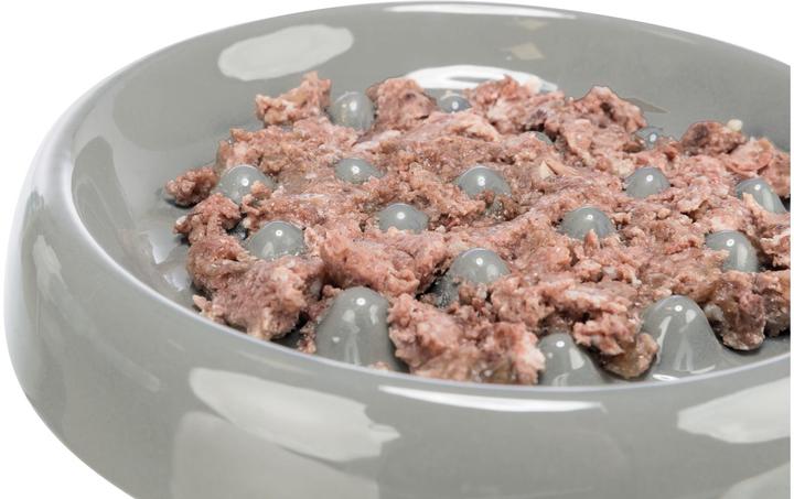 Immagine prodotto Trixie Alimentazione lenta (0.25 l)