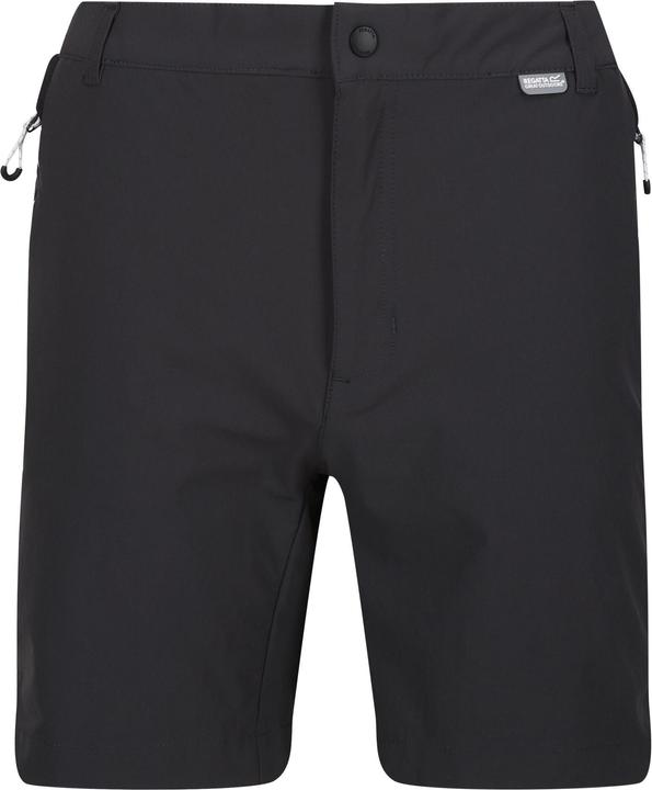 Actual product image Regatta Mens Mountain II Shorts (52 D)