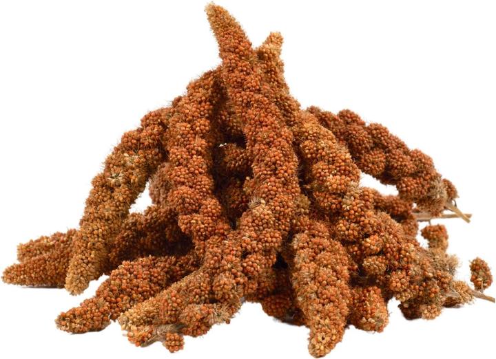 Lyra Pet Foxtail millet (1 x, 1 kg)