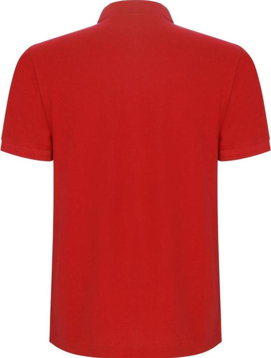 Immagine prodotto Alpinia Pegaso Premium Maglietta Polo Maniche Corte Uomo (4XL)