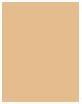 Produktbild Shiseido Revitalizing Skin Glow Fond de Teint No 340 (340 Oak)