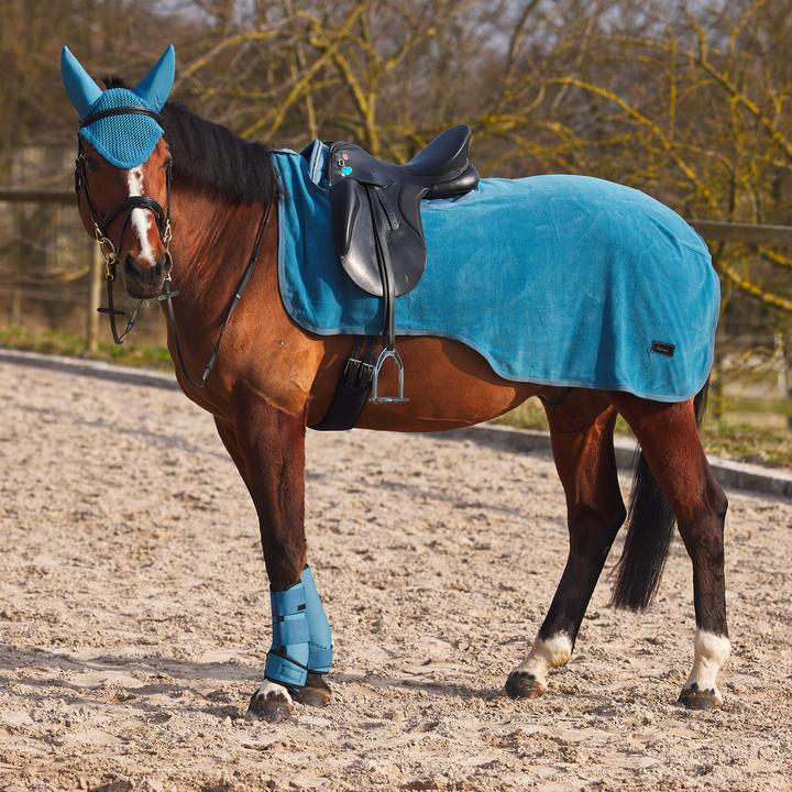 Actual product image Horze Marquess (155 cm)