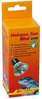 Actual product image Lucky Reptile Halogen spotlight Sun Mini 20W 2pcs.