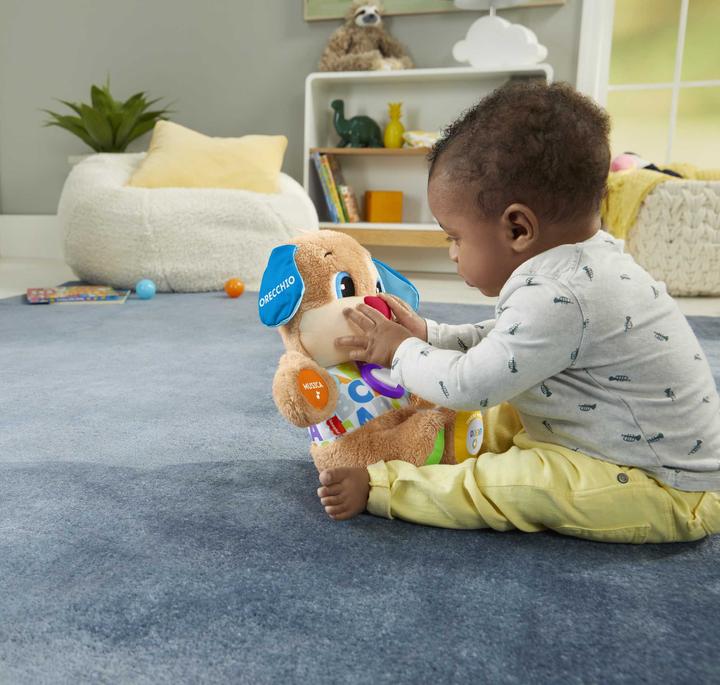 Image du produit Fisher-Price Laugh & Learn Smart Stages Puppy (30.50 cm)