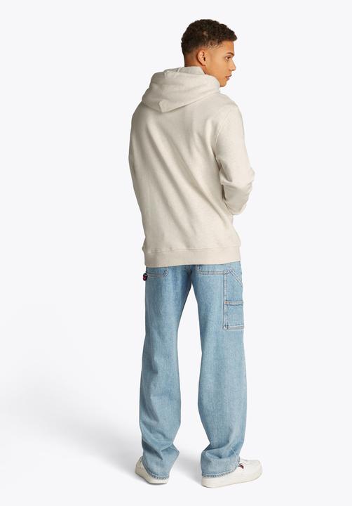 Actual product image Tommy Jeans Tjm Reg Linear Logo Hoodie Ext (XL)