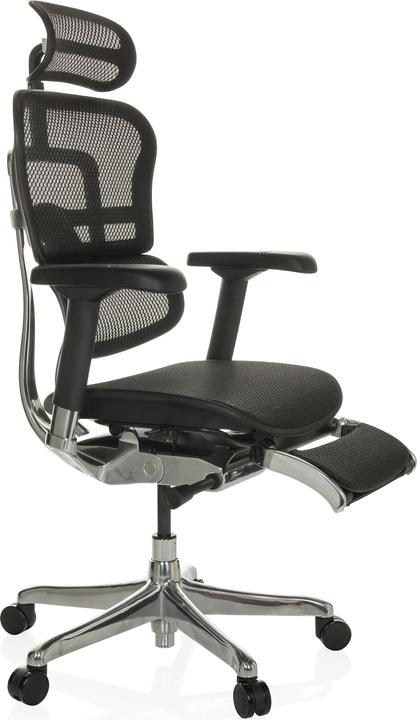 Image du produit Hjh Office Ergohuman Plus Legpro Gen5