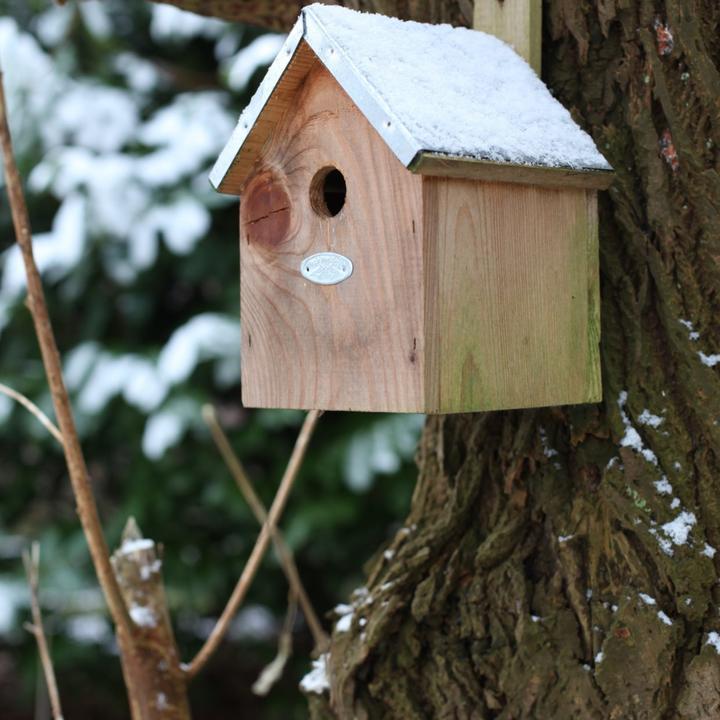 Actual product image Esschert Design Nest Box for Blue Tit