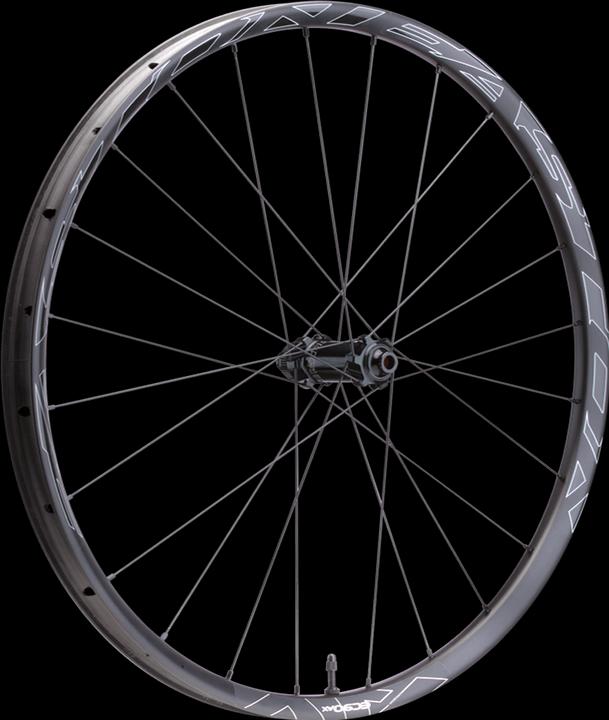 Actual product image Easton EA90 AX Road CLN Disc Front Wheel 12x100/15x100 (Front wheel, 28")
