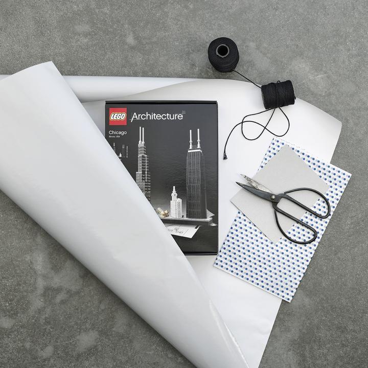 Actual product image LEGO Chicago (21033, LEGO Architecture)