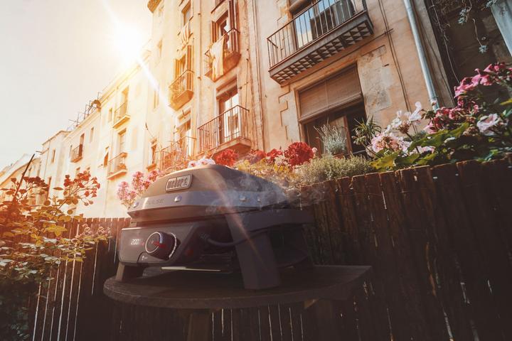 Image du produit Weber Pulse 1000 (1.80 kW)