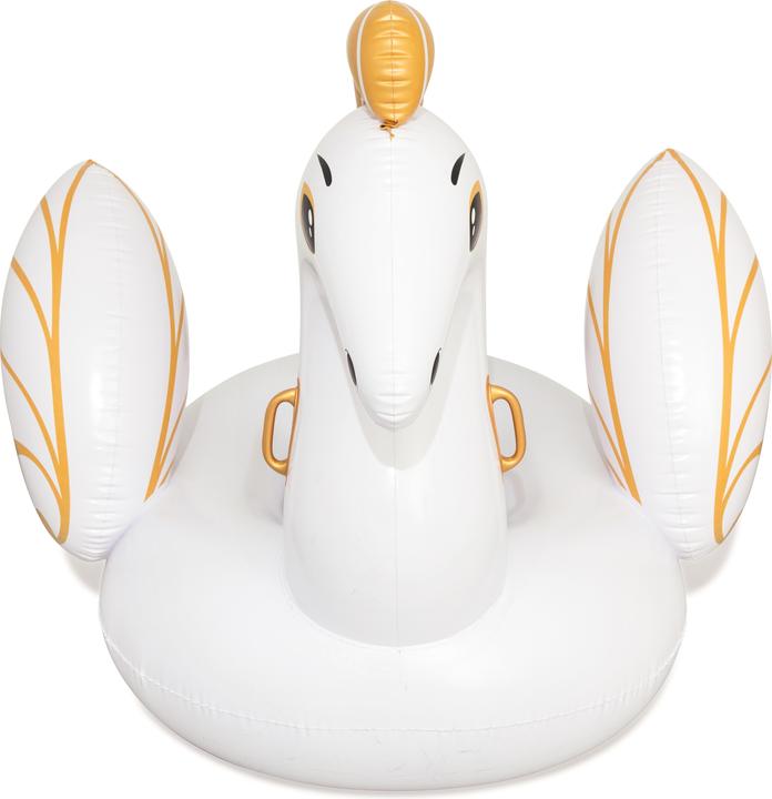 Actual product image Bestway Luxury Pegasus 231x150cm