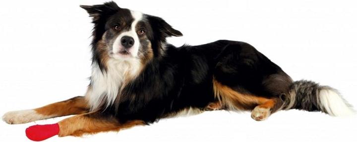 Produktbild Trixie Bandagen (Hund)