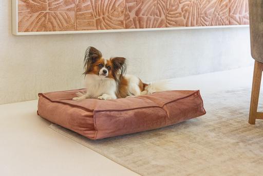 Produktbild Designed by Lotte Nalino (Hund)