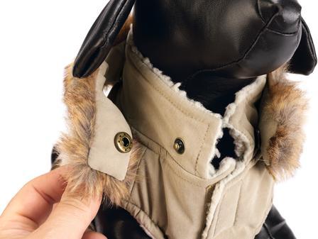 Actual product image Designed by Lotte Dog coat Philos (XXXL, Dog coat)