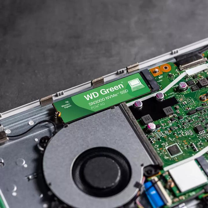 Produktbild WD Green SN3000 (500 GB, M.2 2280)