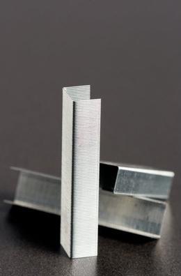 Actual product image Rapid Standard (5000 x)