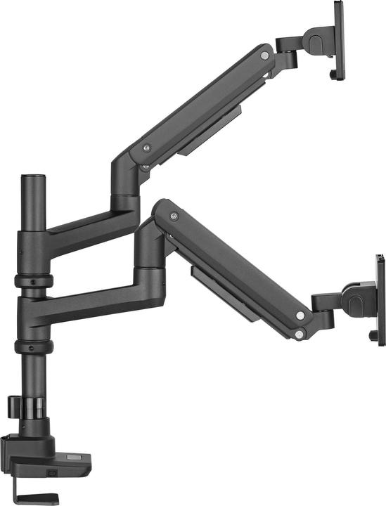 Immagine prodotto Wiltec Supporto doppio per monitor da scrivania fino a 20 kg Supporto per monitor VESA