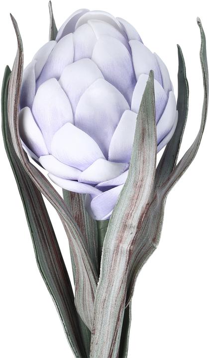 Immagine prodotto EGLO LIVING Molave (15 cm)