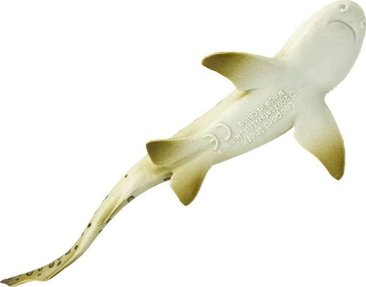 Actual product image Safari Leopard shark