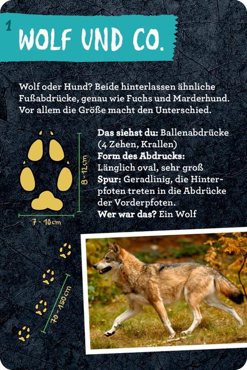 Produktbild Die Spiegelburg Tierspuren (Deutsch, Barbara Wernsing, Kristin Labuch, 2022)