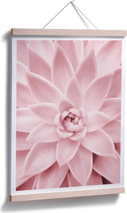 Image du produit Trenddeko Succulente rose (30 x 40 cm)