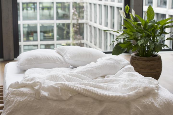 Actual product image lavie Linus (Pillowcase, 40 x 60 cm)