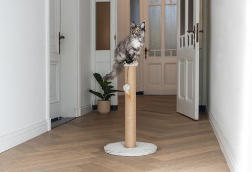 Actual product image Designed by Lotte Scratching post (70 cm, Light grey)