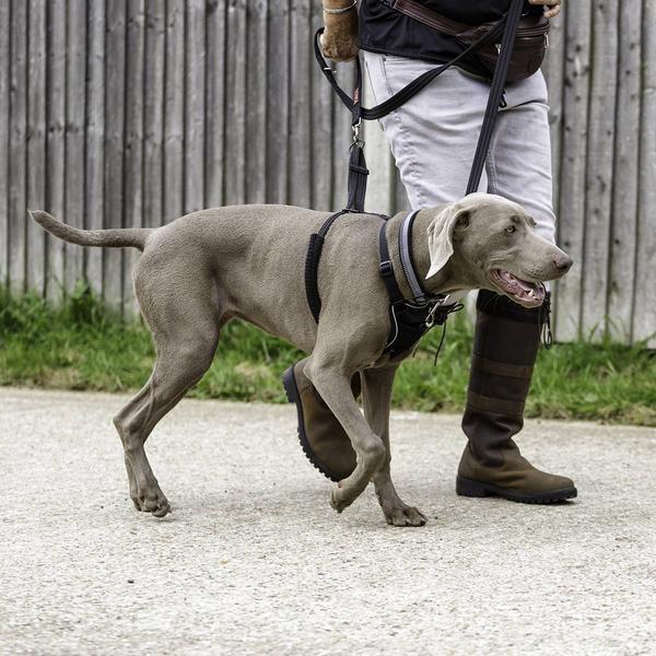 Produktbild Halti No Pull Geschirr (XS, Hund, Hundesport)