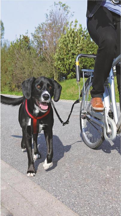 Actual product image Trixie Biker set (Dog, Reflectors)