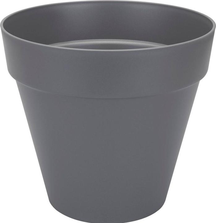Charcoal