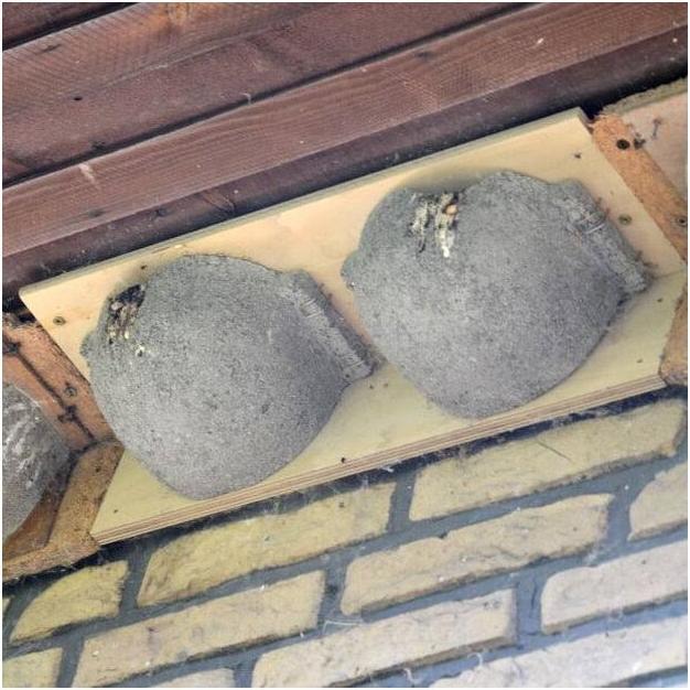 Produktbild Siena Garden Mehlschwalben Doppelnest