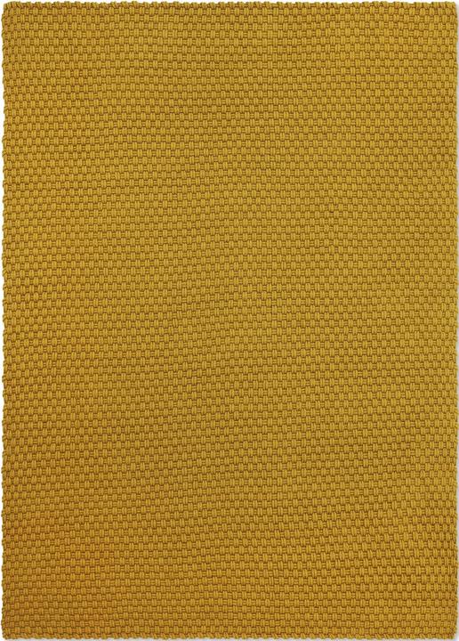 Golden Mustard