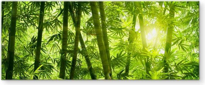Produktbild Trenddeko Sonnenschein im Bambuswald - Panorama (40 x 100 cm)