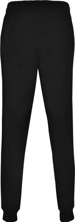 Actual product image Alpinia Mens Adelpho Trousers (M)
