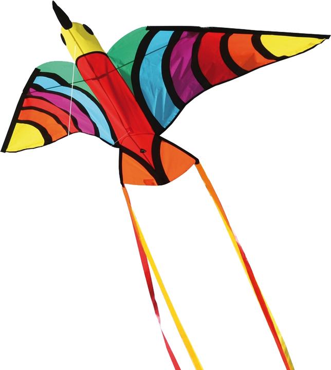 Image du produit Invento Oiseau dragon tropical