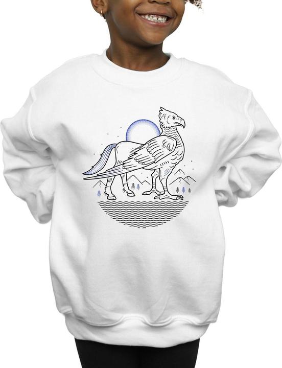 Image du produit - Sweat BUCKBEAK LINE ART - Fille (128)