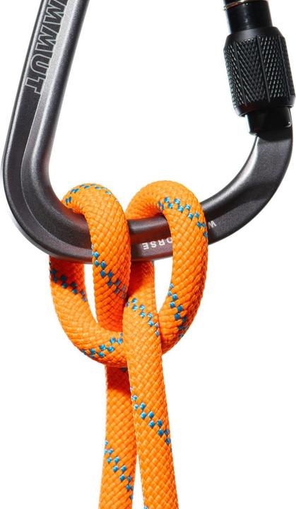 Actual product image Mammut 8.7 Alpine Transmitter Dry Rope (70 m)